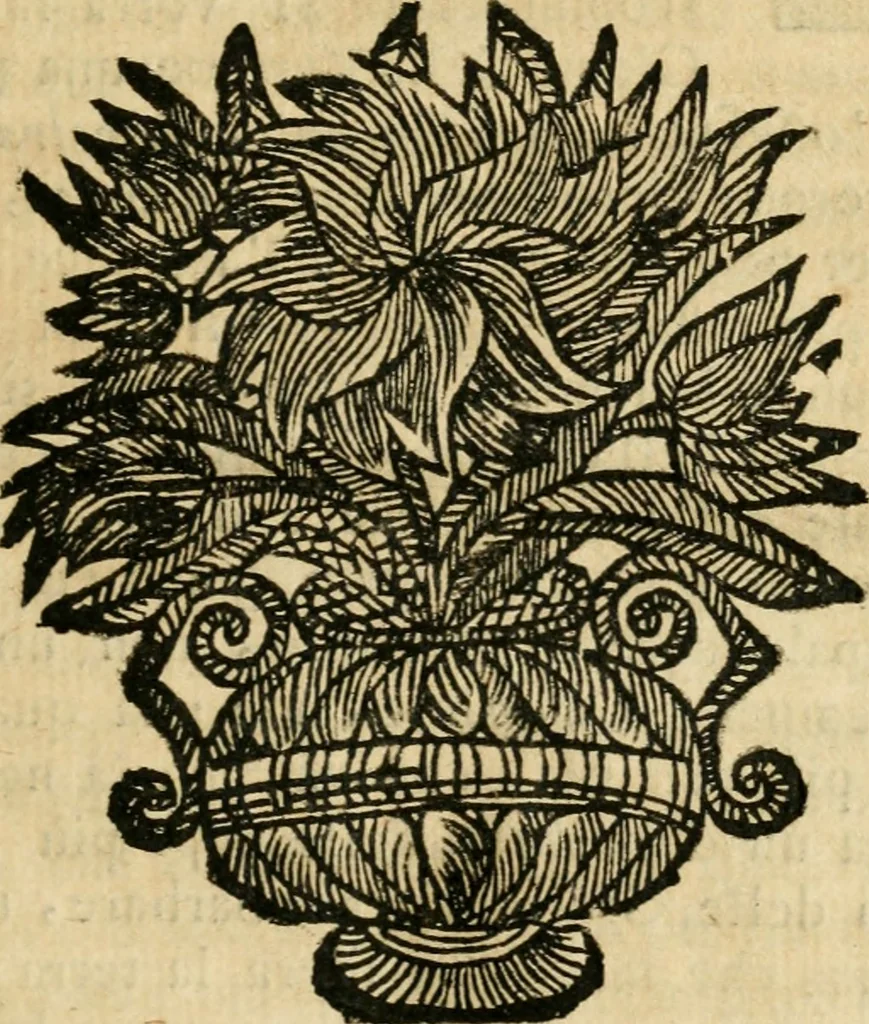 An illustration from La coronatione della miracolosissima imagine di Maria Vergine detta del Sasso, nella chiesa di S. Agostino di Lucca : con una breve narratione della solenne festa fatta nella medesima chiesa per la canonizatione di S. Gio. da S. Facondo e la vita elogiastica dell' istesso santo, 1693, leaf 54