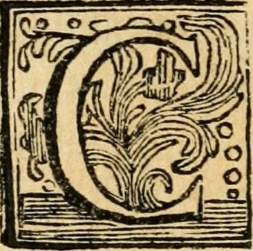 An illustration from La coronatione della miracolosissima imagine di Maria Vergine detta del Sasso, nella chiesa di S. Agostino di Lucca : con una breve narratione della solenne festa fatta nella medesima chiesa per la canonizatione di S. Gio. da S. Facondo e la vita elogiastica dell' istesso santo, 1693, leaf 55