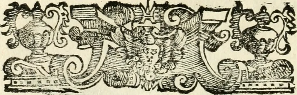 An illustration from La coronatione della miracolosissima imagine di Maria Vergine detta del Sasso, nella chiesa di S. Agostino di Lucca : con una breve narratione della solenne festa fatta nella medesima chiesa per la canonizatione di S. Gio. da S. Facondo e la vita elogiastica dell' istesso santo, 1693, leaf 71