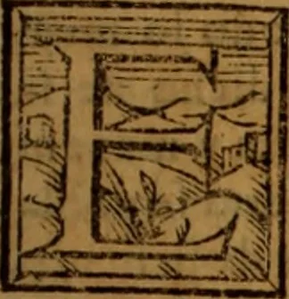 An illustration from La coronica general de España, 1574, leaf 166