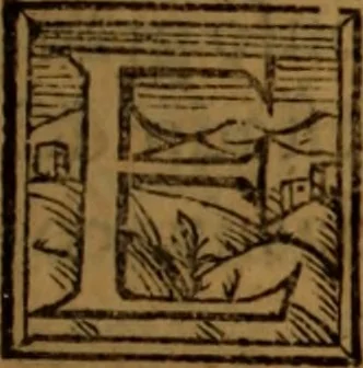 An illustration from La coronica general de España, 1574, leaf 308