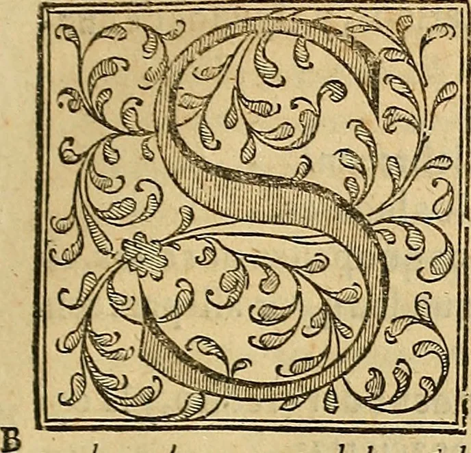 An illustration from La coronica general de España, 1574, leaf 530