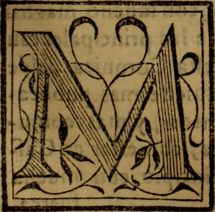 An illustration from La coronica general de España, 1574, leaf 206