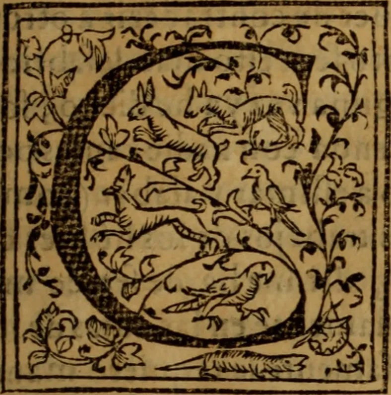 An illustration from La coronica general de España, 1574, leaf 30