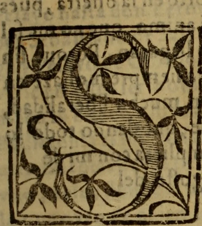 An illustration from La coronica general de España, 1574, leaf 8