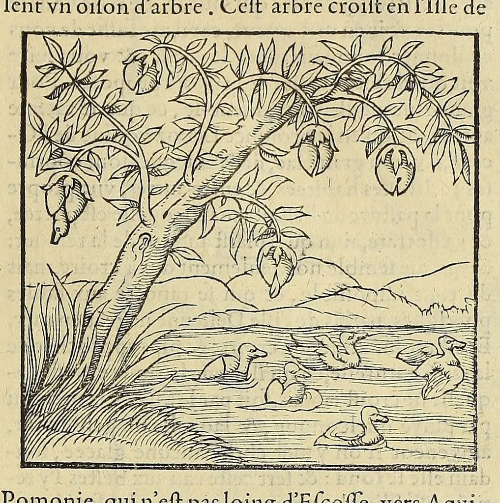 An illustration from La cosmographie vniuerselle de tout le monde. : En laquelle, suiuant les auteurs plus dignes de foy, sont au vray descriptes toutes les parties habitables, & non habitables de la terre, & de la mer, leurs assiettes & choses qu'elles produisent ... auec plusieurs autres choses, le sommaire desquelles se void en la page suiuante., 1575, leaf 103