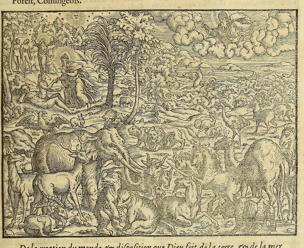 An illustration from La cosmographie vniuerselle de tout le monde. : En laquelle, suiuant les auteurs plus dignes de foy, sont au vray descriptes toutes les parties habitables, & non habitables de la terre, & de la mer, leurs assiettes & choses qu'elles produisent ... auec plusieurs autres choses, le sommaire desquelles se void en la page suiuante., 1575, leaf 53