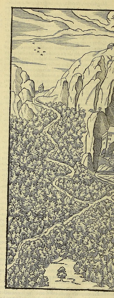 An illustration from La cosmographie vniuerselle de tout le monde. : En laquelle, suiuant les auteurs plus dignes de foy, sont au vray descriptes toutes les parties habitables, & non habitables de la terre, & de la mer, leurs assiettes & choses qu'elles produisent ... auec plusieurs autres choses, le sommaire desquelles se void en la page suiuante., 1575, leaf 646