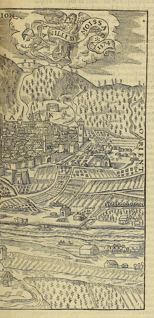 An illustration from La cosmographie vniuerselle de tout le monde. : En laquelle, suiuant les auteurs plus dignes de foy, sont au vray descriptes toutes les parties habitables, & non habitables de la terre, & de la mer, leurs assiettes & choses qu'elles produisent ... auec plusieurs autres choses, le sommaire desquelles se void en la page suiuante., 1575, leaf 679