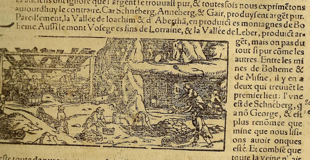 An illustration from La cosmographie vniuerselle, contenant la situation de toutes les parties du monde, auec leurs proprietez & appartenances. : La description des pays & regions diceluy ..., 1568, leaf 101