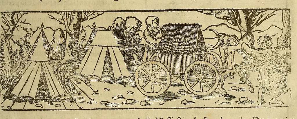 An illustration from La cosmographie vniuerselle, contenant la situation de toutes les parties du monde, auec leurs proprietez & appartenances. : La description des pays & regions diceluy ..., 1568, leaf 1347