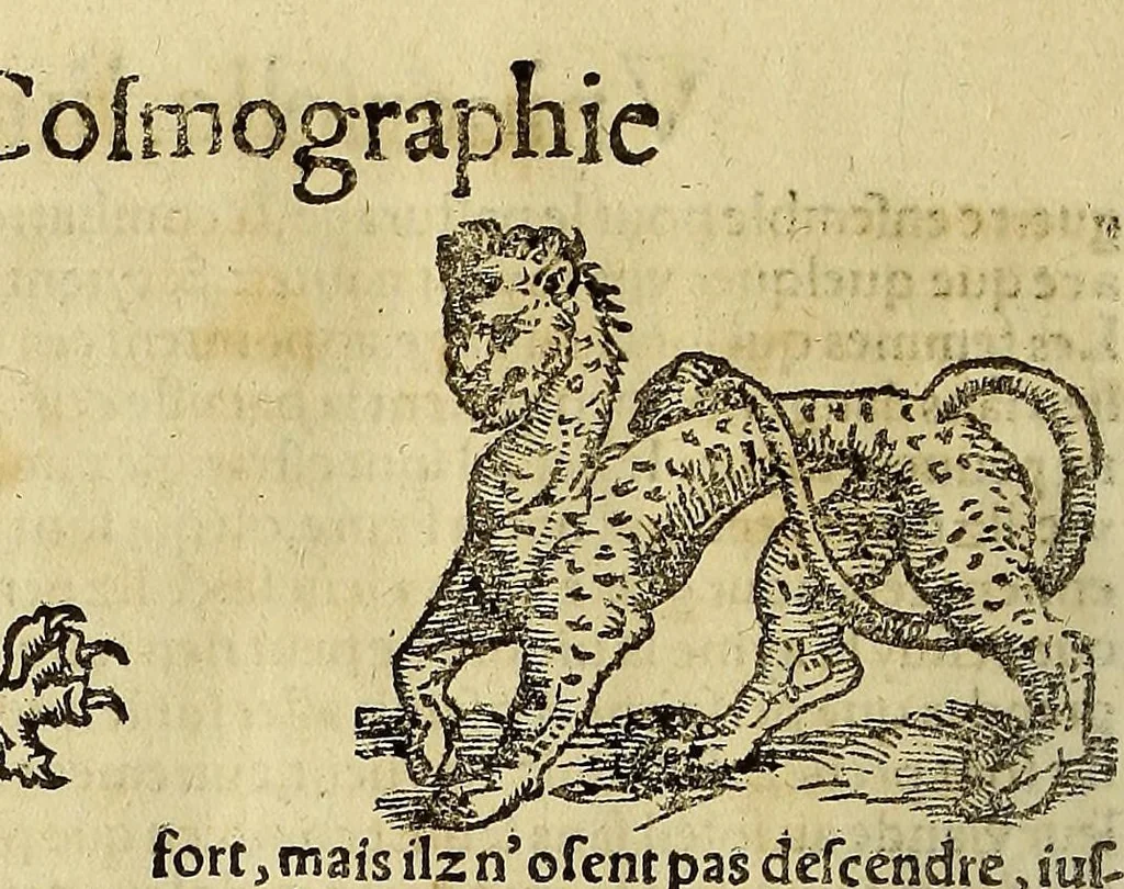 An illustration from La cosmographie vniuerselle, contenant la situation de toutes les parties du monde, auec leurs proprietez & appartenances. : La description des pays & regions diceluy ..., 1568, leaf 1466