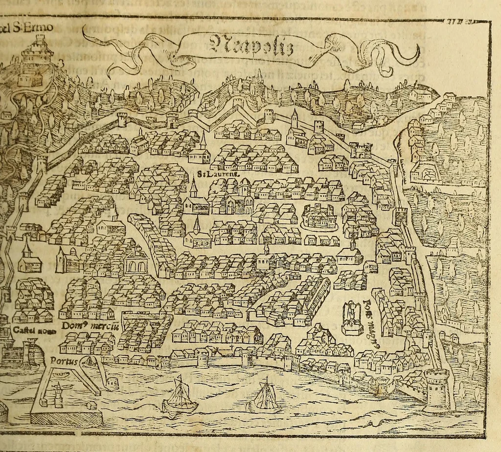 An illustration from La cosmographie vniuerselle, contenant la situation de toutes les parties du monde, auec leurs proprietez & appartenances. : La description des pays & regions diceluy ..., 1568, leaf 383