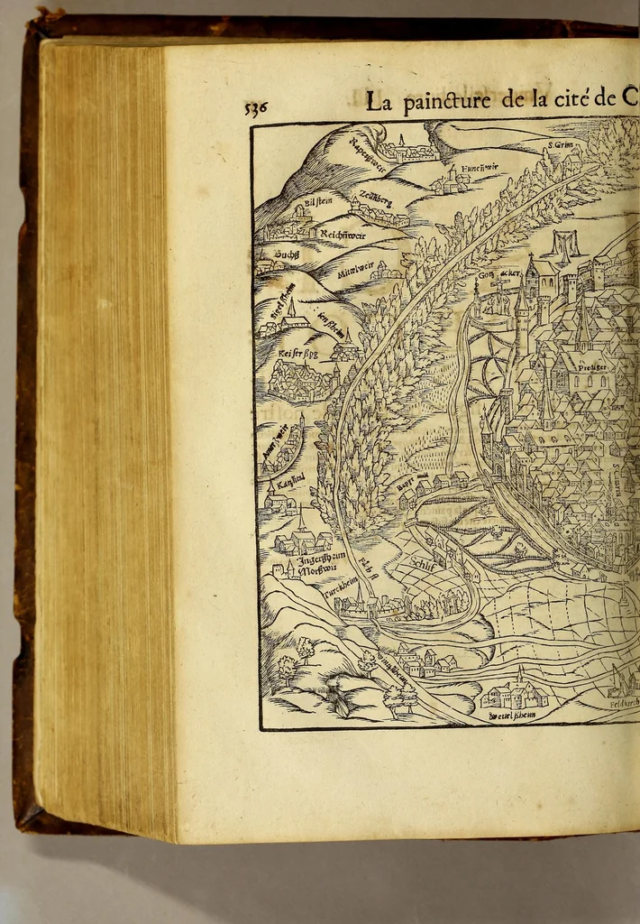 An illustration from La cosmographie vniuerselle, contenant la situation de toutes les parties du monde, auec leurs proprietez & appartenances. : La description des pays & regions diceluy ..., 1568, leaf 632