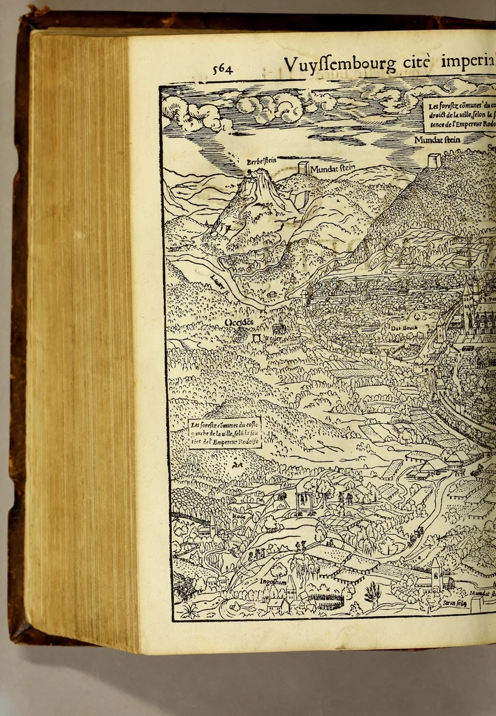 An illustration from La cosmographie vniuerselle, contenant la situation de toutes les parties du monde, auec leurs proprietez & appartenances. : La description des pays & regions diceluy ..., 1568, leaf 650