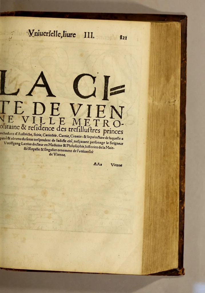An illustration from La cosmographie vniuerselle, contenant la situation de toutes les parties du monde, auec leurs proprietez & appartenances. : La description des pays & regions diceluy ..., 1568, leaf 903