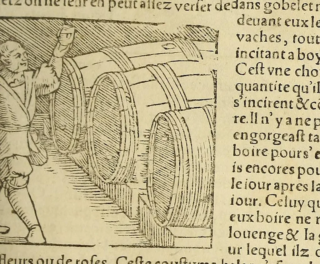 An illustration from La cosmographie vniuerselle, contenant la situation de toutes les parties du monde, auec leurs proprietez & appartenances. : La description des pays & regions diceluy ..., 1568, leaf 943