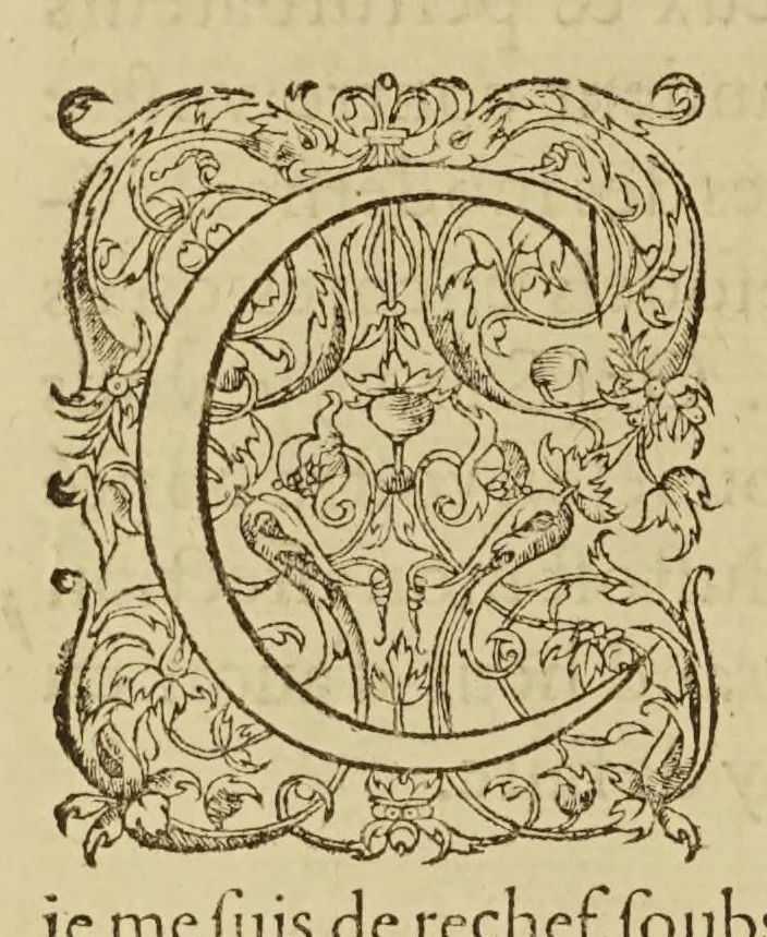 An illustration from La cosmographie vniuerselle, 1575, leaf 12
