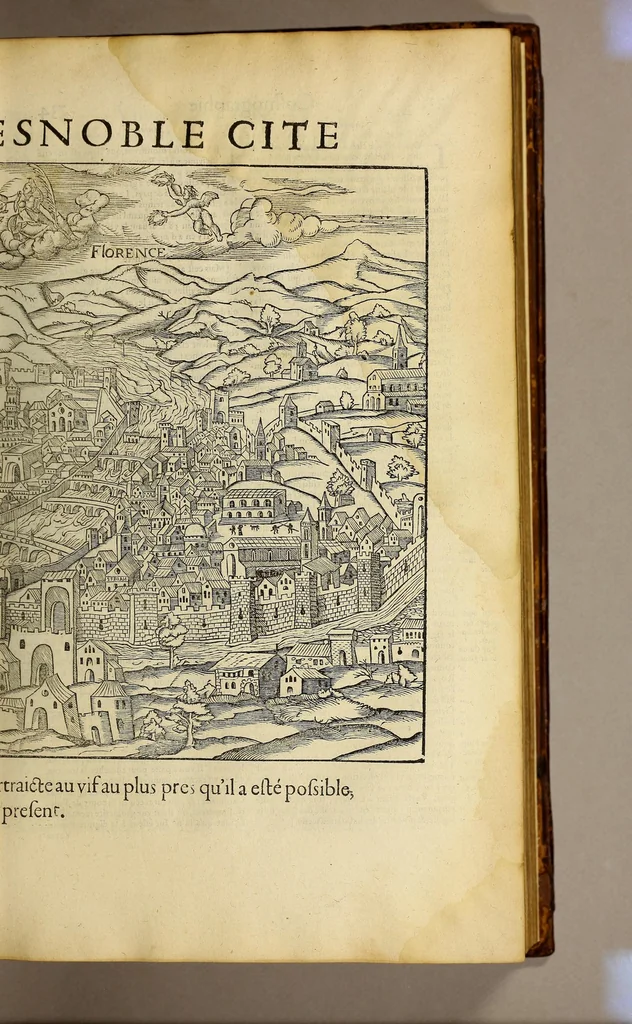 An illustration from La cosmographie vniuerselle de tout le monde. : En laquelle, suiuant les auteurs plus dignes de foy, sont au vray descriptes toutes les parties habitables, & non habitables de la terre, & de la mer, leurs assiettes & choses qu'elles produisent ... auec plusieurs autres choses, le sommaire desquelles se void en la page suiuante., 1575, leaf 181