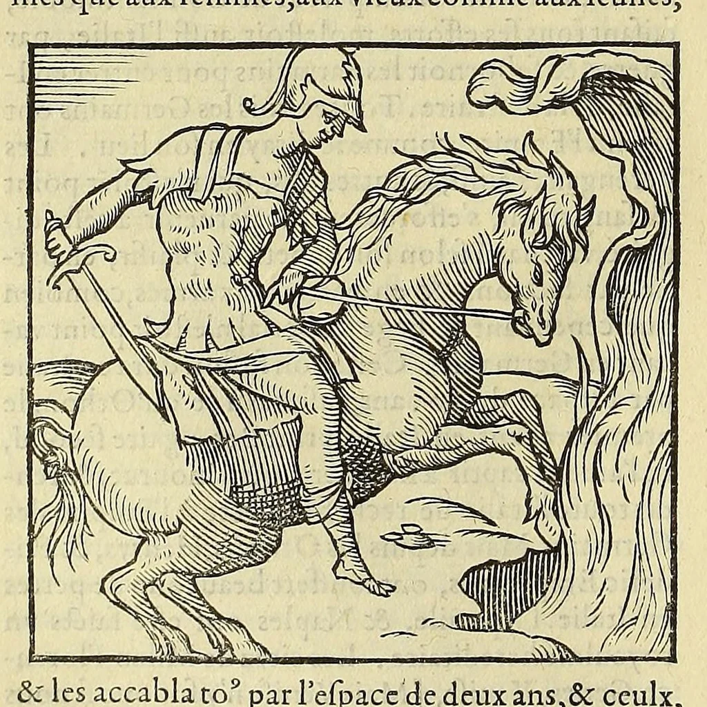 An illustration from La cosmographie vniuerselle de tout le monde. : En laquelle, suiuant les auteurs plus dignes de foy, sont au vray descriptes toutes les parties habitables, & non habitables de la terre, & de la mer, leurs assiettes & choses qu'elles produisent ... auec plusieurs autres choses, le sommaire desquelles se void en la page suiuante., 1575, leaf 206