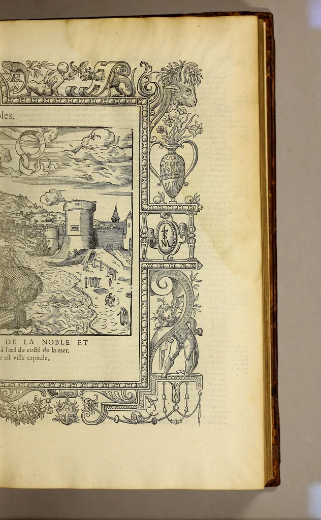 An illustration from La cosmographie vniuerselle de tout le monde. : En laquelle, suiuant les auteurs plus dignes de foy, sont au vray descriptes toutes les parties habitables, & non habitables de la terre, & de la mer, leurs assiettes & choses qu'elles produisent ... auec plusieurs autres choses, le sommaire desquelles se void en la page suiuante., 1575, leaf 217