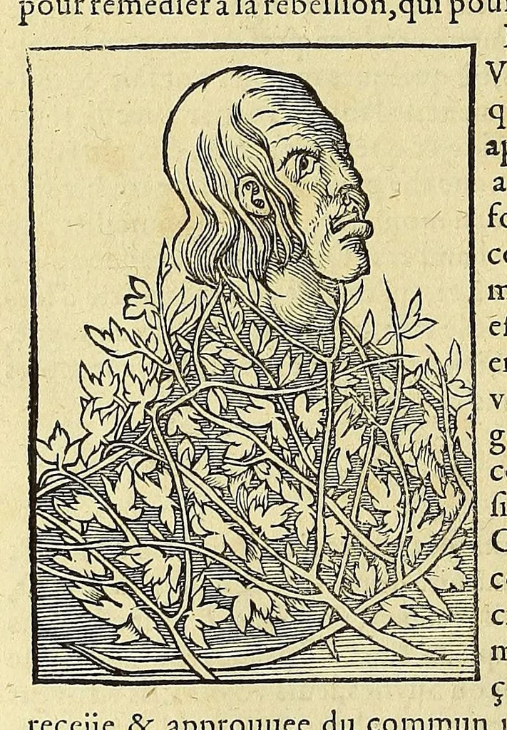 An illustration from La cosmographie vniuerselle de tout le monde. : En laquelle, suiuant les auteurs plus dignes de foy, sont au vray descriptes toutes les parties habitables, & non habitables de la terre, & de la mer, leurs assiettes & choses qu'elles produisent ... auec plusieurs autres choses, le sommaire desquelles se void en la page suiuante., 1575, leaf 320