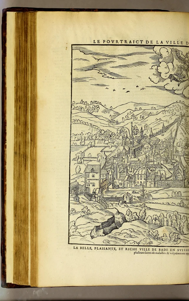 An illustration from La cosmographie vniuerselle de tout le monde. : En laquelle, suiuant les auteurs plus dignes de foy, sont au vray descriptes toutes les parties habitables, & non habitables de la terre, & de la mer, leurs assiettes & choses qu'elles produisent ... auec plusieurs autres choses, le sommaire desquelles se void en la page suiuante., 1575, leaf 360