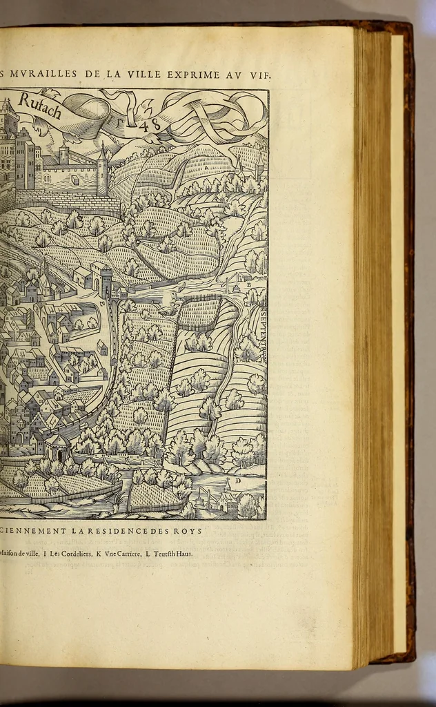 An illustration from La cosmographie vniuerselle de tout le monde. : En laquelle, suiuant les auteurs plus dignes de foy, sont au vray descriptes toutes les parties habitables, & non habitables de la terre, & de la mer, leurs assiettes & choses qu'elles produisent ... auec plusieurs autres choses, le sommaire desquelles se void en la page suiuante., 1575, leaf 397