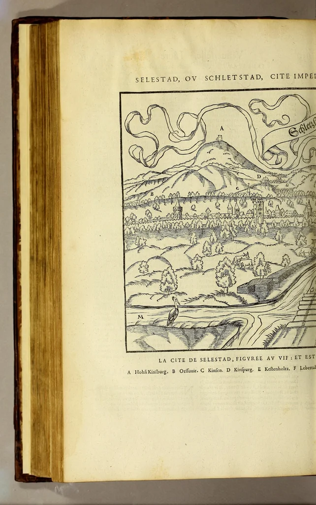 An illustration from La cosmographie vniuerselle de tout le monde. : En laquelle, suiuant les auteurs plus dignes de foy, sont au vray descriptes toutes les parties habitables, & non habitables de la terre, & de la mer, leurs assiettes & choses qu'elles produisent ... auec plusieurs autres choses, le sommaire desquelles se void en la page suiuante., 1575, leaf 406