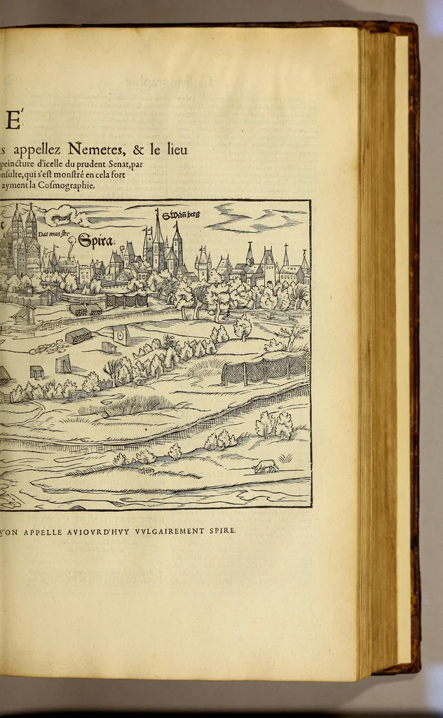 An illustration from La cosmographie vniuerselle de tout le monde. : En laquelle, suiuant les auteurs plus dignes de foy, sont au vray descriptes toutes les parties habitables, & non habitables de la terre, & de la mer, leurs assiettes & choses qu'elles produisent ... auec plusieurs autres choses, le sommaire desquelles se void en la page suiuante., 1575, leaf 423