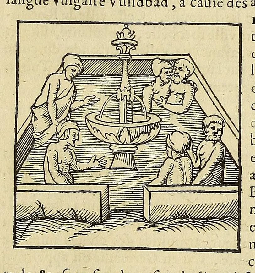 An illustration from La cosmographie vniuerselle de tout le monde. : En laquelle, suiuant les auteurs plus dignes de foy, sont au vray descriptes toutes les parties habitables, & non habitables de la terre, & de la mer, leurs assiettes & choses qu'elles produisent ... auec plusieurs autres choses, le sommaire desquelles se void en la page suiuante., 1575, leaf 543