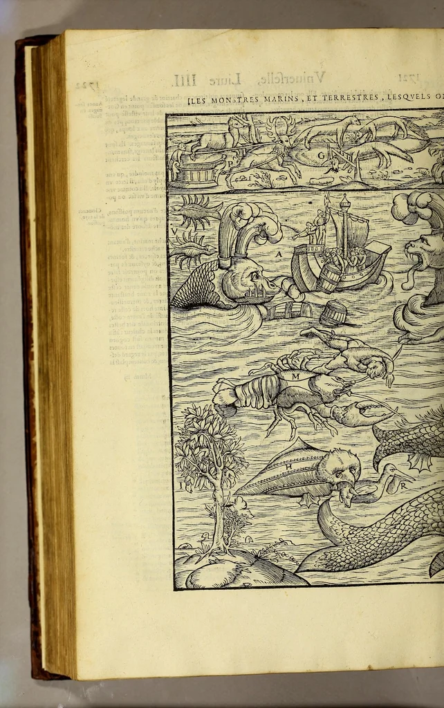 An illustration from La cosmographie vniuerselle de tout le monde. : En laquelle, suiuant les auteurs plus dignes de foy, sont au vray descriptes toutes les parties habitables, & non habitables de la terre, & de la mer, leurs assiettes & choses qu'elles produisent ... auec plusieurs autres choses, le sommaire desquelles se void en la page suiuante., 1575, leaf 750