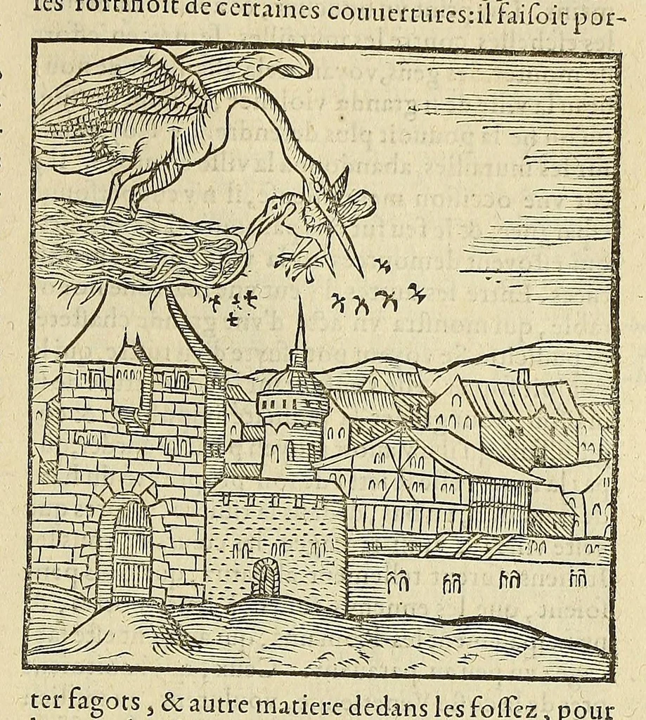 An illustration from La cosmographie vniuerselle de tout le monde. : En laquelle, suiuant les auteurs plus dignes de foy, sont au vray descriptes toutes les parties habitables, & non habitables de la terre, & de la mer, leurs assiettes & choses qu'elles produisent ... auec plusieurs autres choses, le sommaire desquelles se void en la page suiuante., 1575, leaf 757