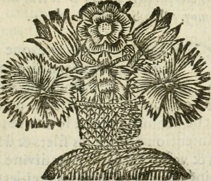 An illustration from La couronne de l'année chrétienne : ou meditations sur les principales et plus importantes veritez de l'evangile de Jesus Christ. Disposées pour tous les jours de l'année, selon l'orore des Offices de l'Eglise, 1693, leaf 286