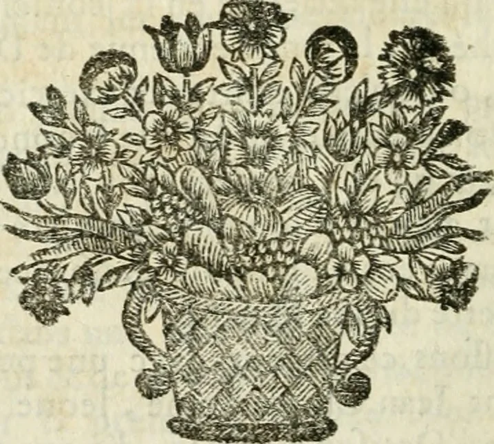 An illustration from La couronne de l'année chrétienne : ou meditations sur les principales et plus importantes veritez de l'evangile de Jesus Christ. Disposées pour tous les jours de l'année, selon l'orore des Offices de l'Eglise, 1693, leaf 33