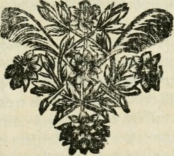 An illustration from La couronne de l'année chrétienne : ou meditations sur les principales et plus importantes veritez de l'evangile de Jesus Christ. Disposées pour tous les jours de l'année, selon l'orore des Offices de l'Eglise, 1693, leaf 8