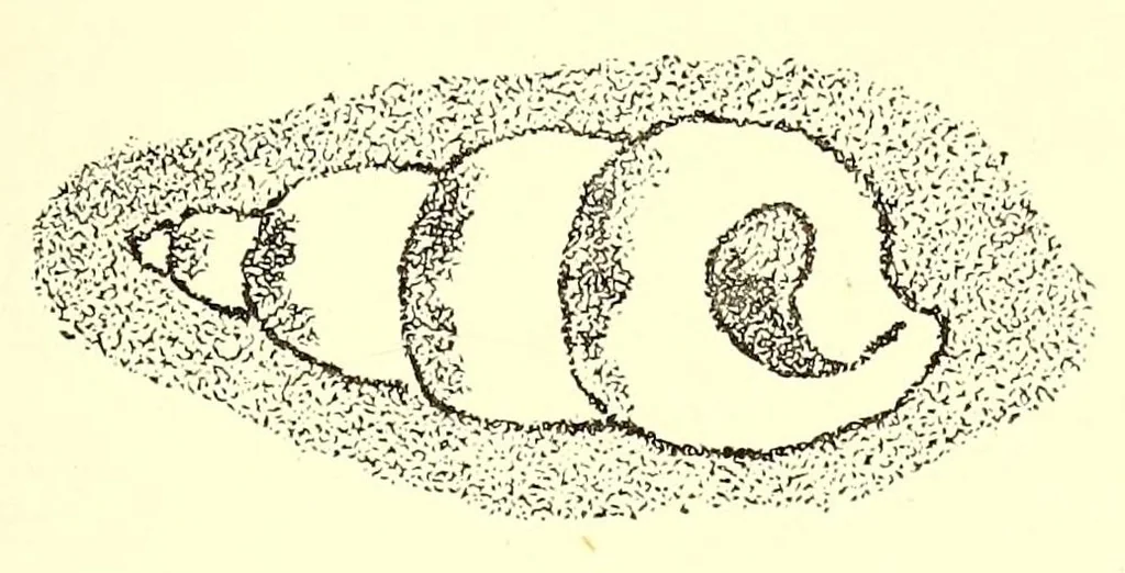An illustration from La céramique italienne; marques et monogrammes, 1884, leaf 205