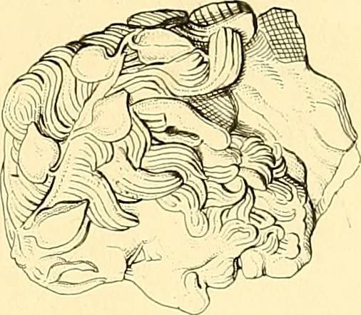 An illustration from La critique des sculptures antiques au Musée du Louvre : a propos des catalogues en préparation, 1876, leaf 57