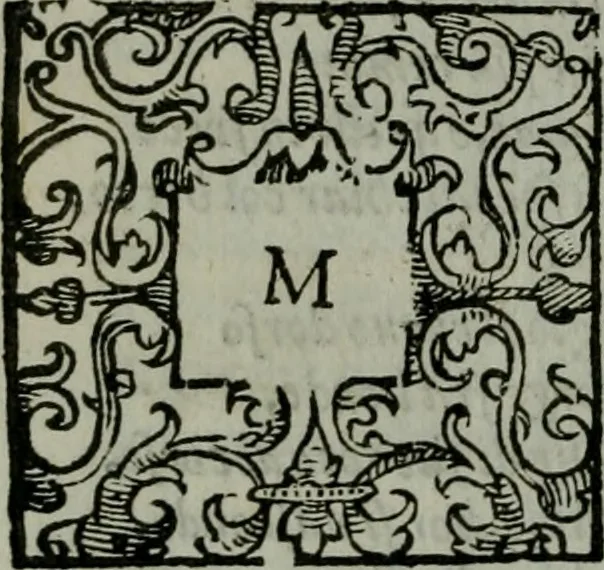 An illustration from La croce racquistata : poema heroico, 1611, leaf 137