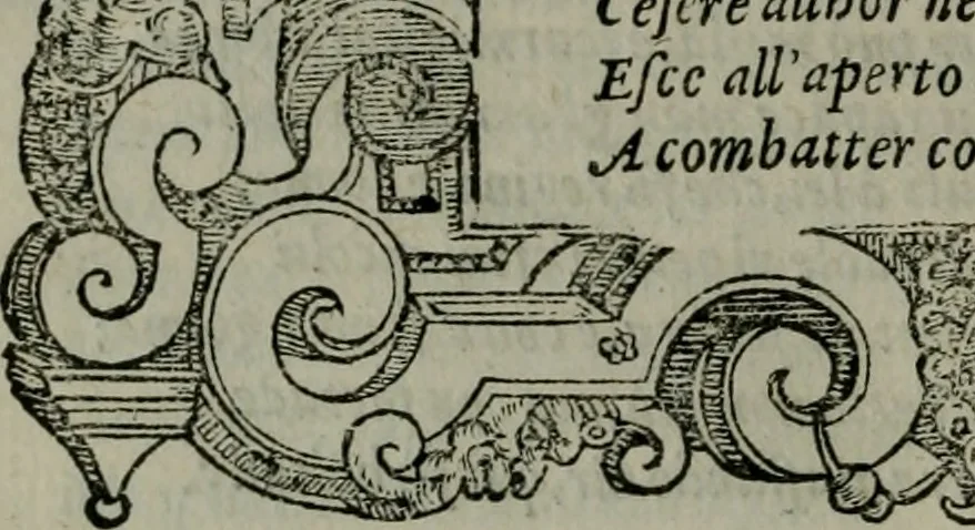 An illustration from La croce racquistata : poema heroico, 1611, leaf 209