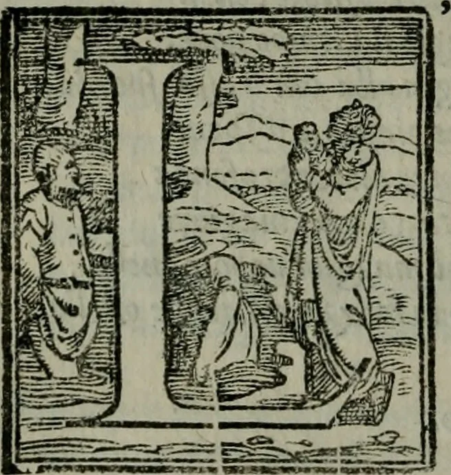 An illustration from La croce racquistata : poema heroico, 1611, leaf 209