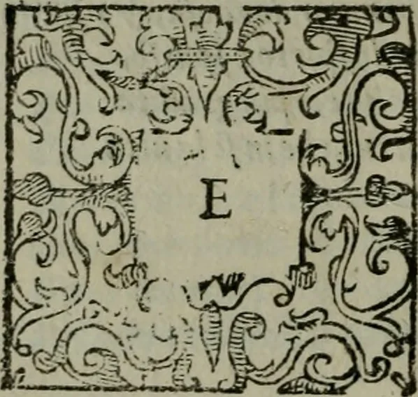 An illustration from La croce racquistata : poema heroico, 1611, leaf 217