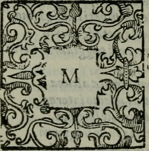 An illustration from La croce racquistata : poema heroico, 1611, leaf 285