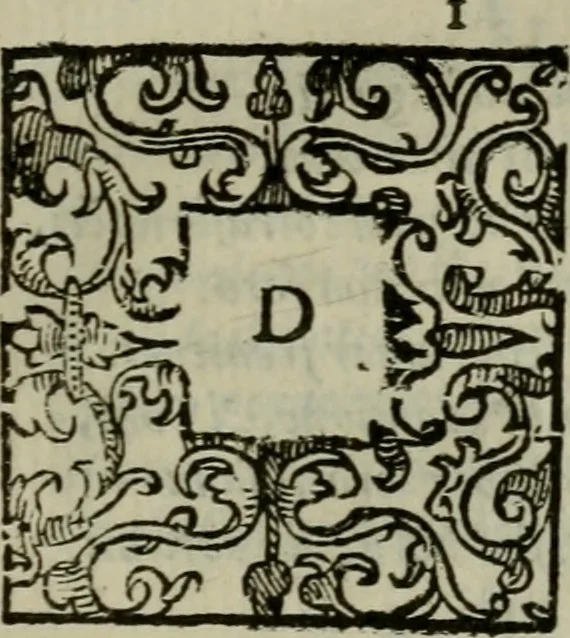 An illustration from La croce racquistata : poema heroico, 1611, leaf 302
