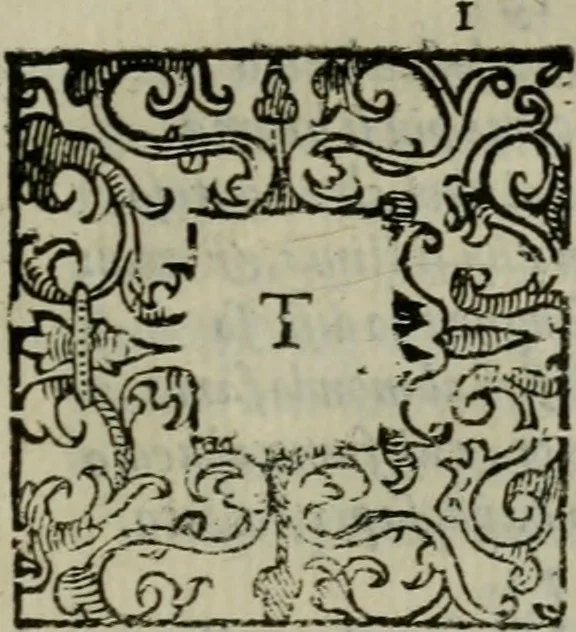 An illustration from La croce racquistata : poema heroico, 1611, leaf 310