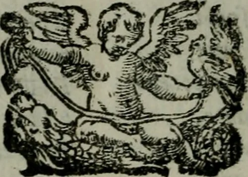 An illustration from La croce racquistata : poema heroico, 1611, leaf 317