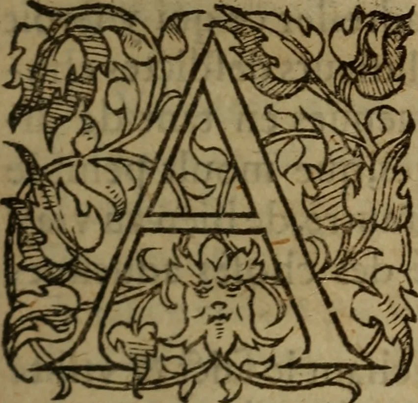 An illustration from La croniqve dv tres chrestien & victorieux Roy Loys vnziesme du nom (que Dieu absolue), 1558, leaf 8