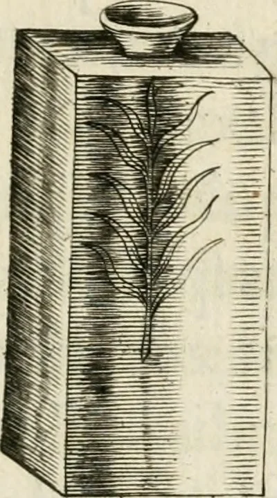 An illustration from Lacrymae prisco ritu fusae in exsequiis sereniss. archiducis Alberti pii Belgicae Sequanticiq. principis, 1622, leaf 14