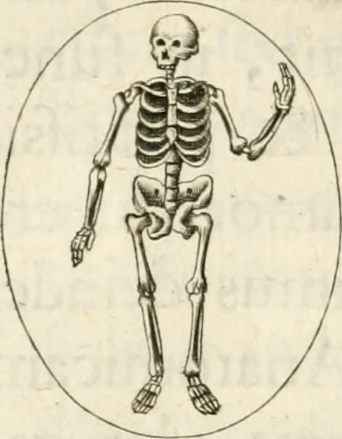 An illustration from Lacrymae prisco ritu fusae in exsequiis sereniss. archiducis Alberti pii Belgicae Sequanticiq. principis, 1622, leaf 25
