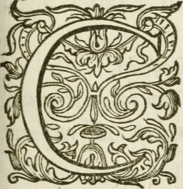 An illustration from Lacrymae prisco ritu fusae in exsequiis sereniss. archiducis Alberti pii Belgicae Sequanticiq. principis, 1622, leaf 6